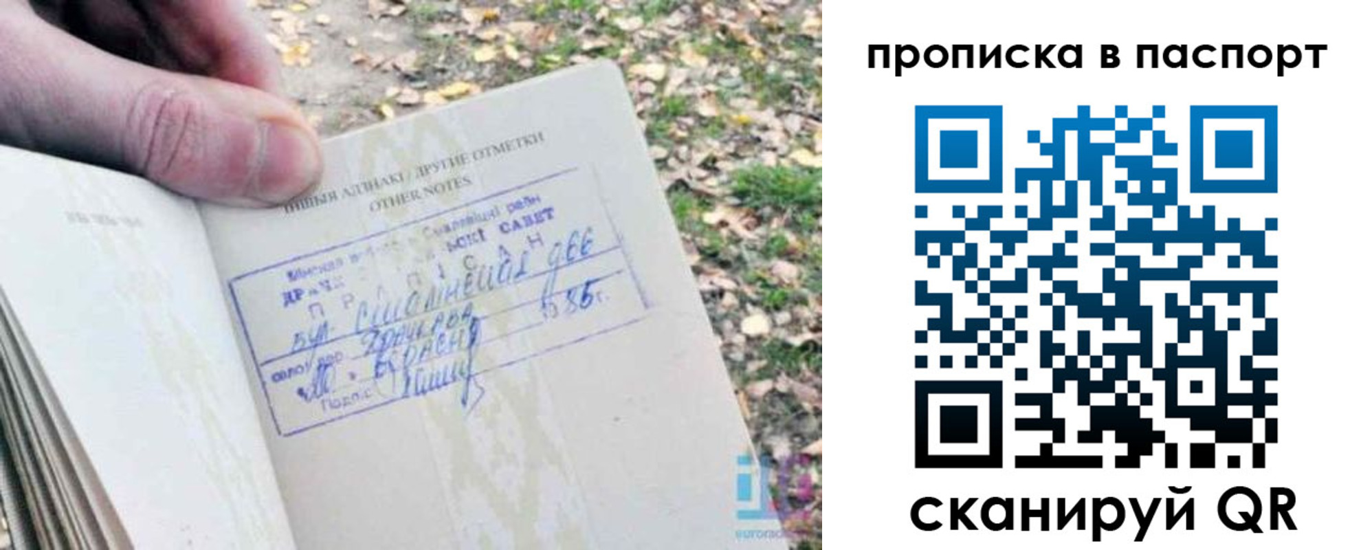 купить прописку в Амурской области